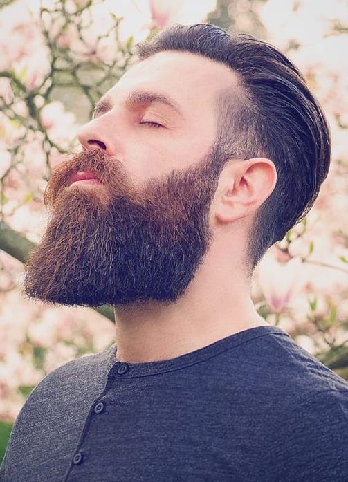 classic beard classic beard