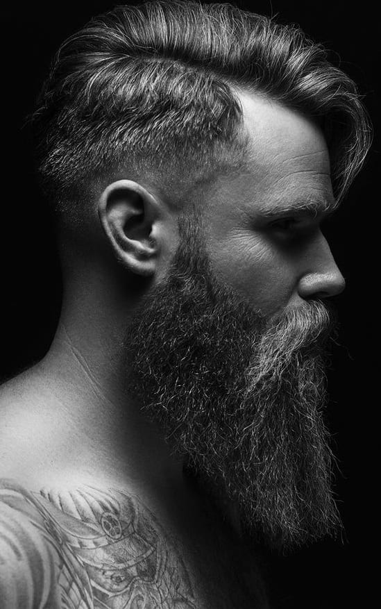 fade and long beard fade and long beard
