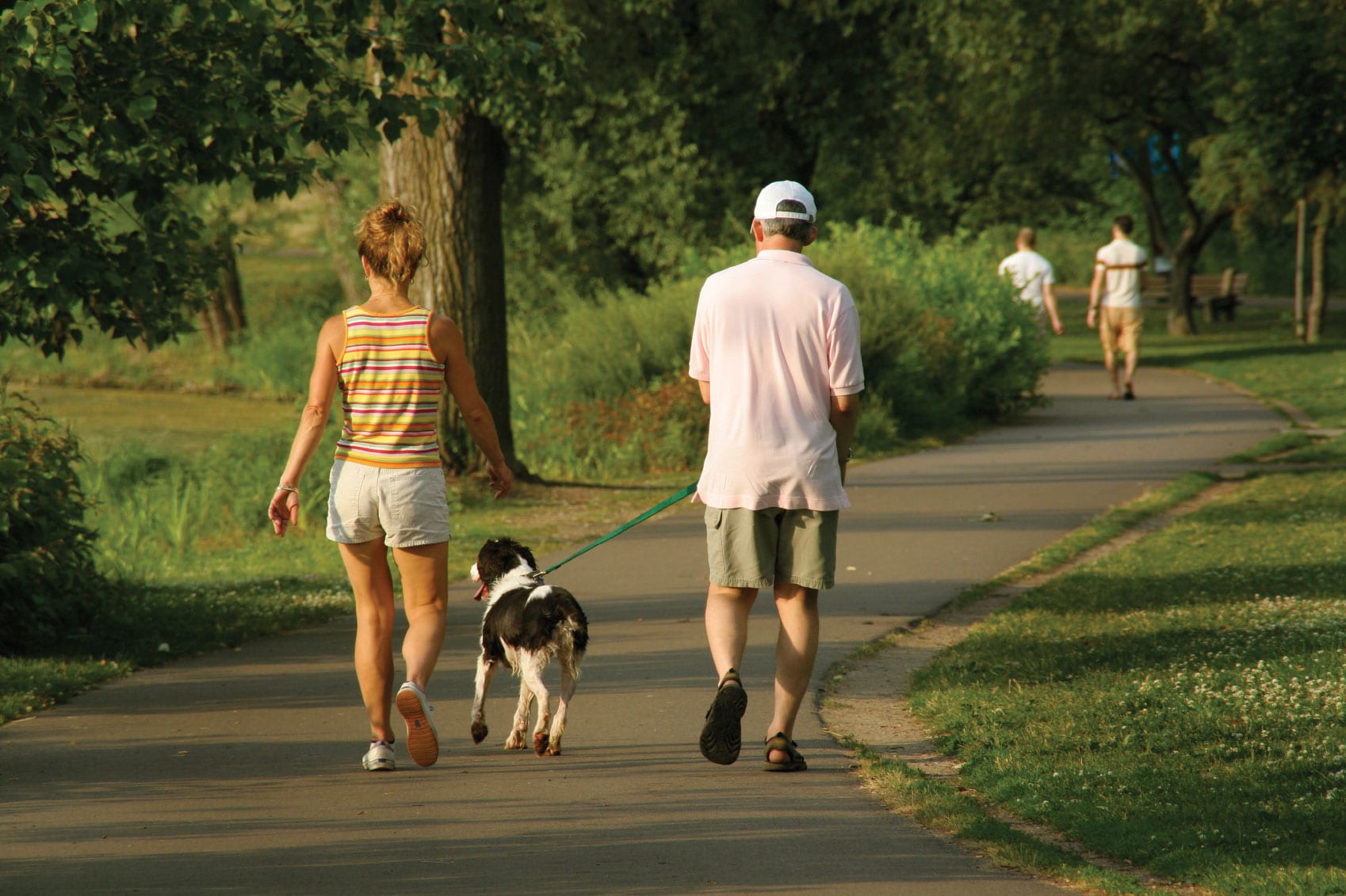 Get a dog or walk one for someone else Get a dog or walk one for someone else