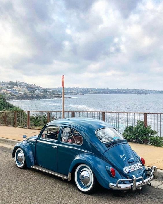 CLASSIC BLUE CHROME BEETLE CLASSIC BLUE CHROME BEETLE