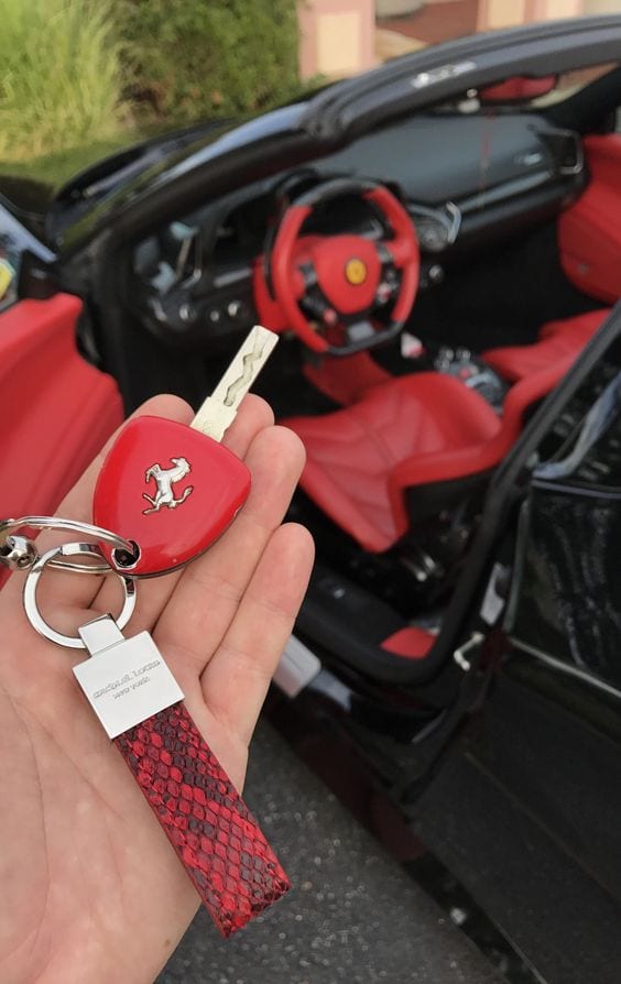 Ferrari X Red Python Car Keys Ferrari X Red Python Car Keys