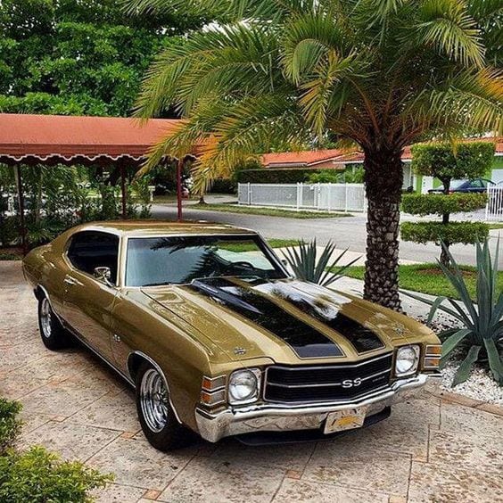 GOLD MUSCLE CAR GOLD MUSCLE CAR