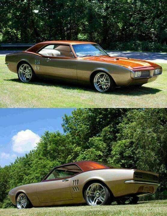 GOLDEN MUSCLE CAR GOLDEN MUSCLE CAR