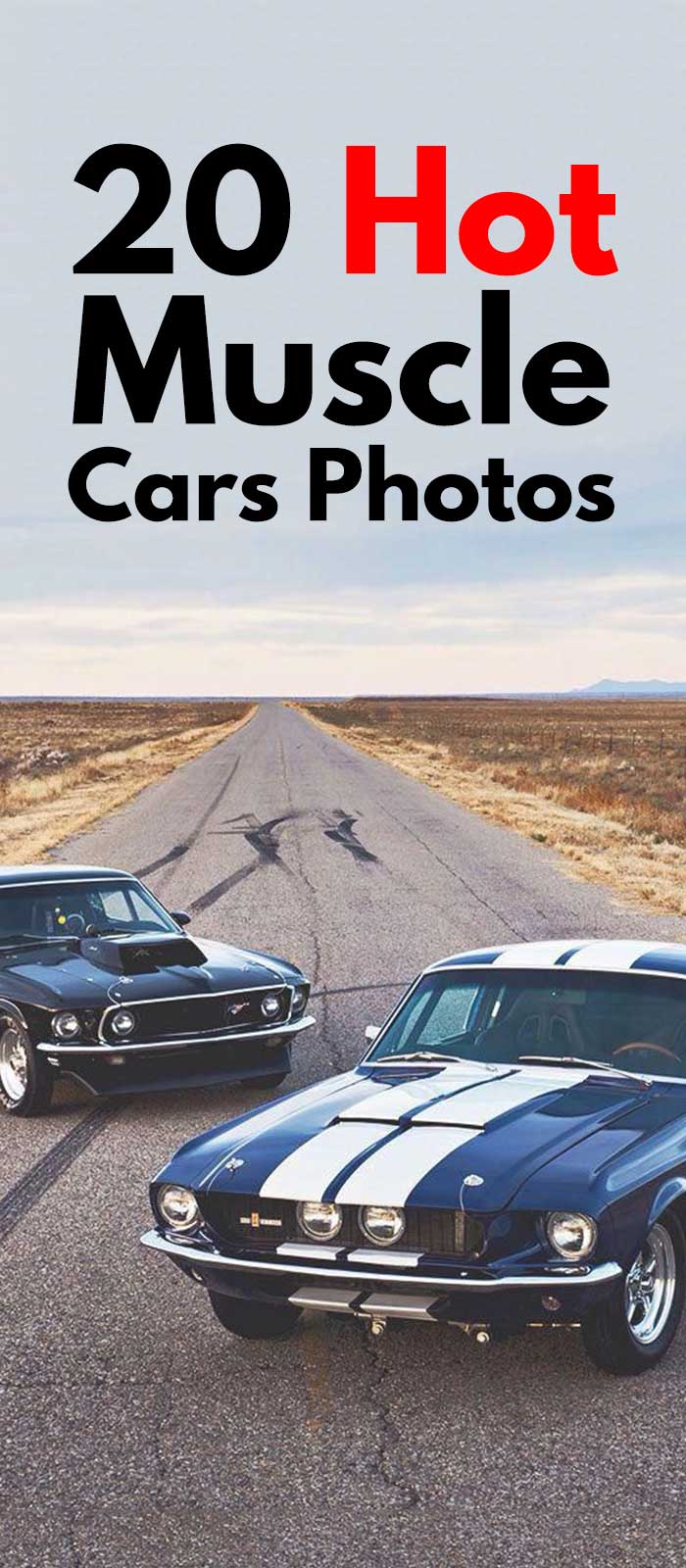 Hot Muscle Cars Photos Hot Muscle Cars Photos