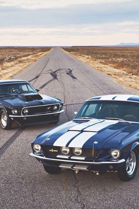 MUSCLE CAR ON THE ROADS MUSCLE CAR ON THE ROADS