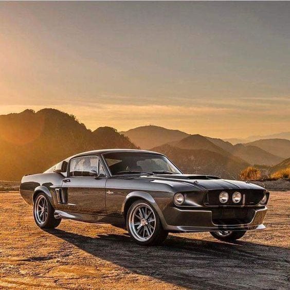 MUSCLE CAR MUSCLE CAR