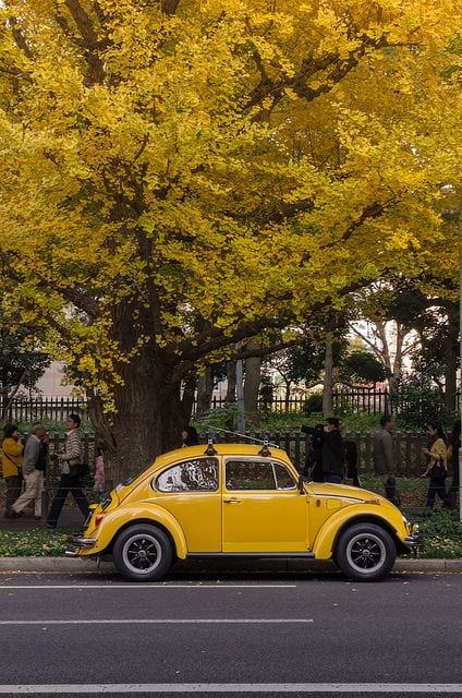 YELLOW CLASSIC BEETLE CAR YELLOW CLASSIC BEETLE CAR
