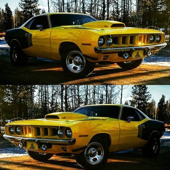 YELLOW MUSCLE CAR YELLOW MUSCLE CAR