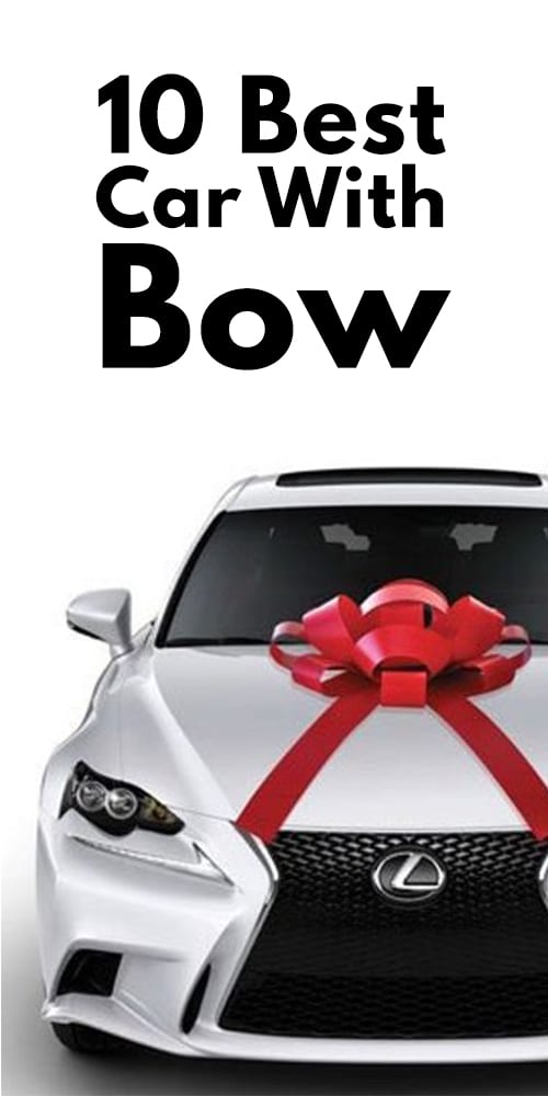 10 Best Car With Bow Photos 10 Best Car With Bow Photos