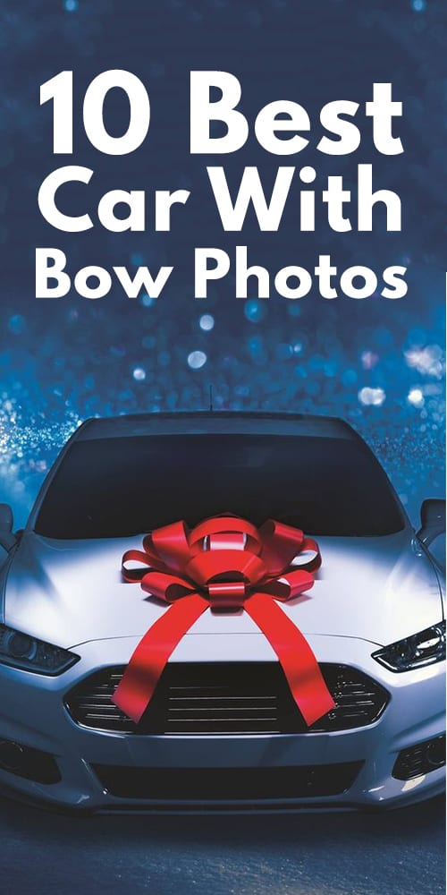 10 Best Car With Bow Photos. 10 Best Car With Bow Photos.