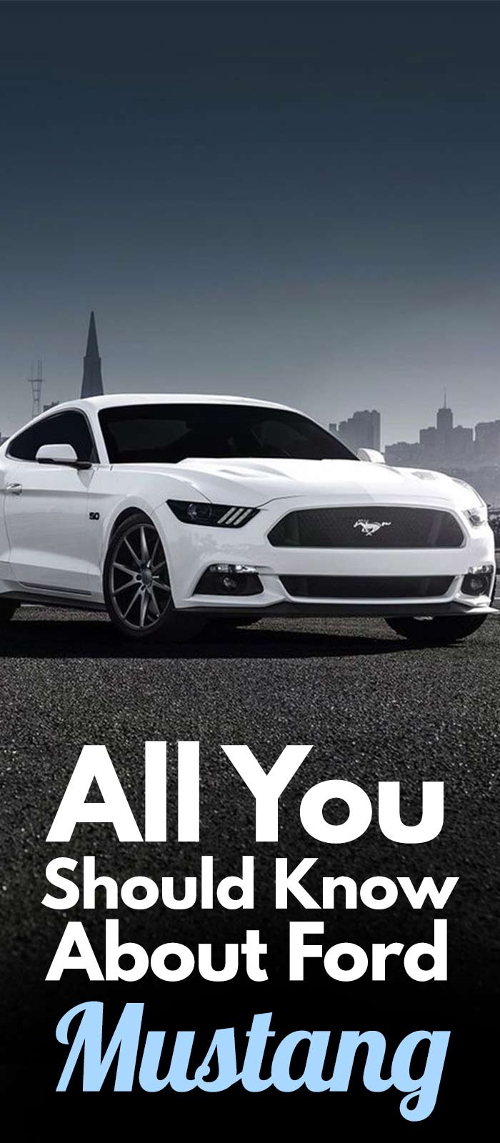 All You Should Know About MUSTANG. All You Should Know About MUSTANG.