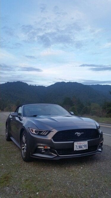 FORD MUSTANG FORD MUSTANG