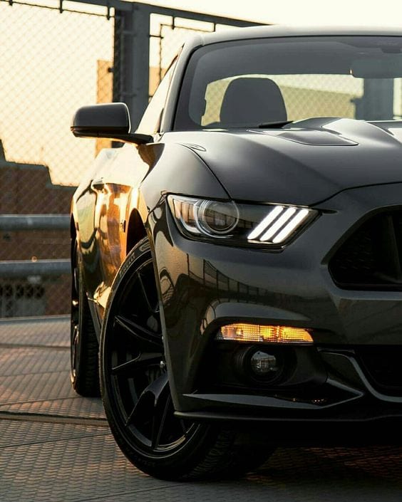Ford Mustang Beast front view Ford Mustang Beast front view
