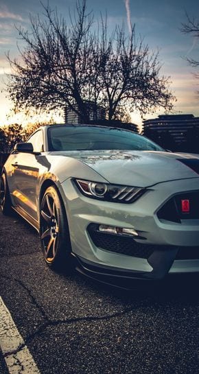 Ford Mustang Shelby GT350R Ford Mustang Shelby GT350R