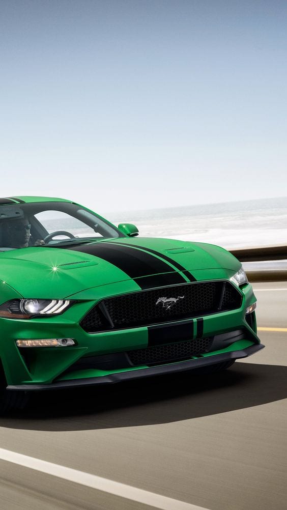 GREEN MUSTANG RACE GREEN MUSTANG RACE