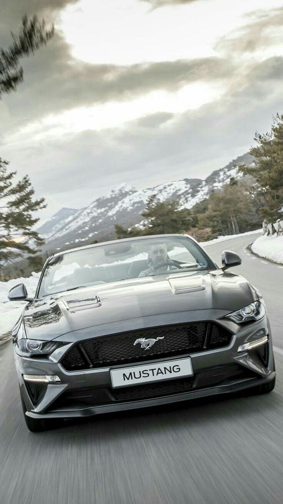 GREY MUSTANG ON THE STREET GREY MUSTANG ON THE STREET