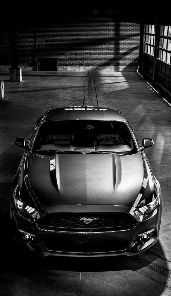 MUSTANG GREY WALLPAPER MUSTANG GREY WALLPAPER