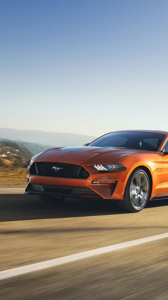 ORANGE MUSTANG RACE ORANGE MUSTANG RACE