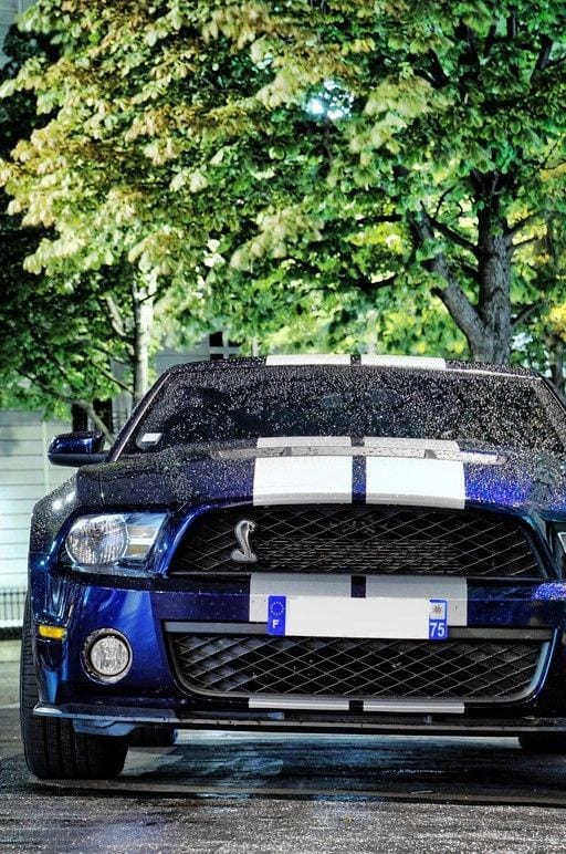 STRIPS MUSTANG WALLPAPER STRIPS MUSTANG WALLPAPER