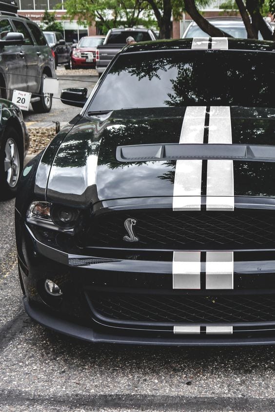 Shelby GT500 MUSTANG Shelby GT500 MUSTANG