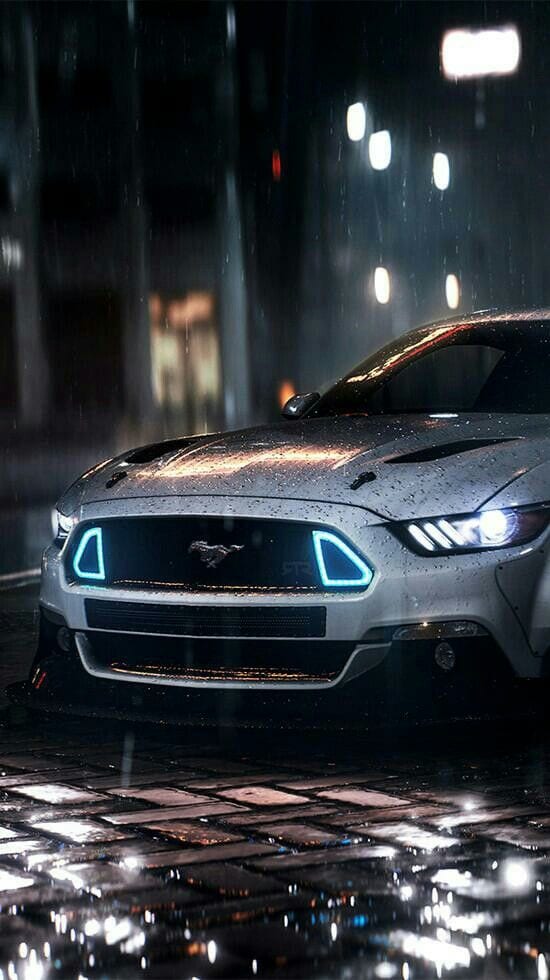 WALLPAPER MUSTANG WALLPAPER MUSTANG