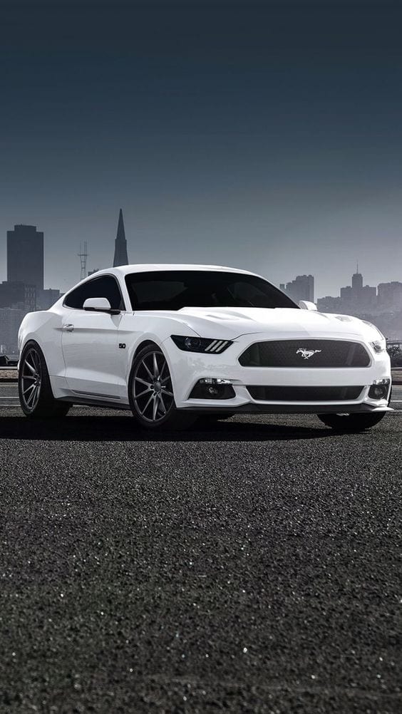WHITE MUSTANG SPORTS WHITE MUSTANG SPORTS