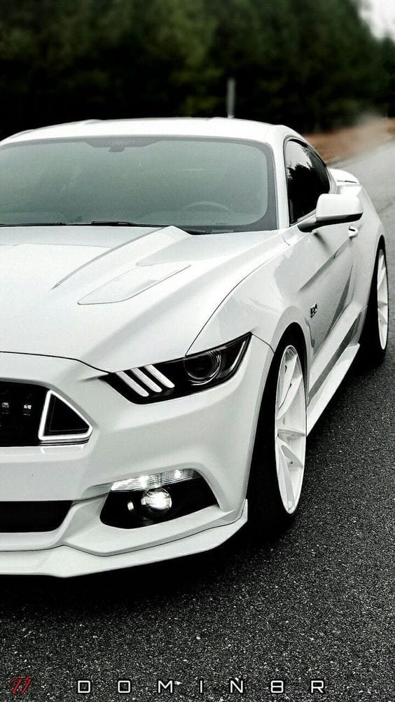 WHITE MUSTANG WHITE MUSTANG