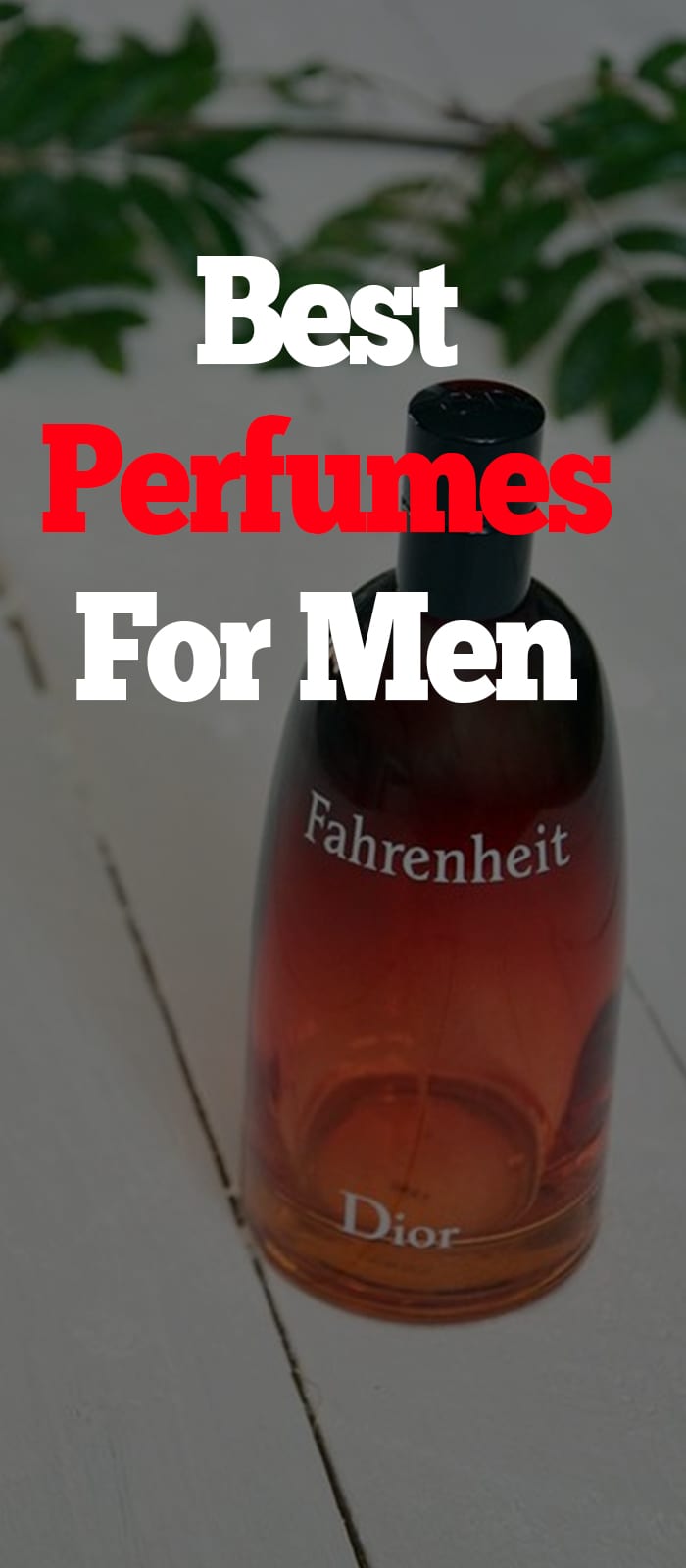 Dior Fahrenheit EDT Perfumes for Men to try Dior Fahrenheit EDT Perfumes for Men to try