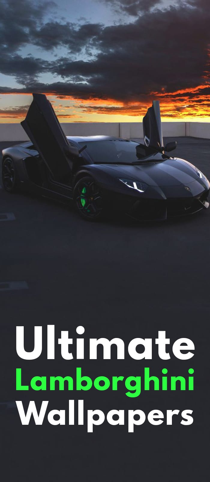 LAMBORGINI BLACK MATTE OPEN DOOR! LAMBORGHINI BLACK MATTE OPEN DOOR!