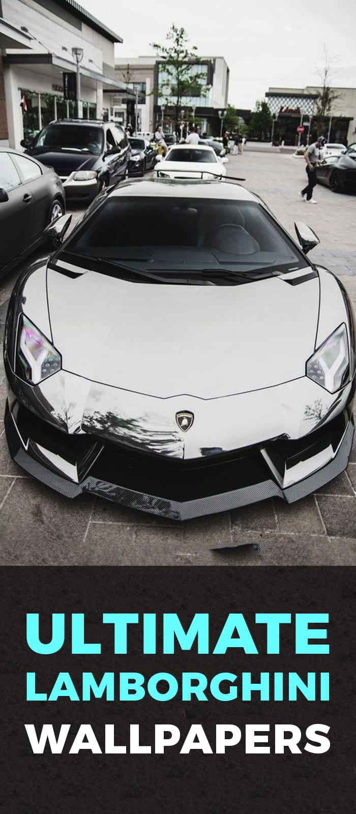 LAMBORGHINI GREY CHROME THROTTLE! LAMBORGHINI GREY CHROME THROTTLE!