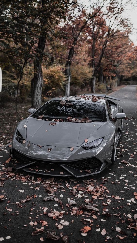 LAMBORGHINI GREY LAMBORGHINI GREY