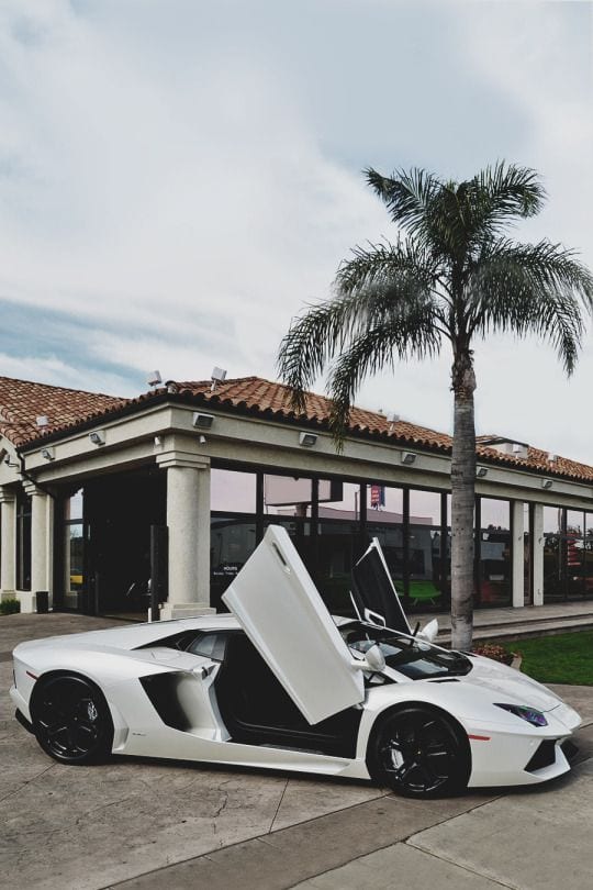 LAMBORGHINI WHITE LAMBORGHINI WHITE