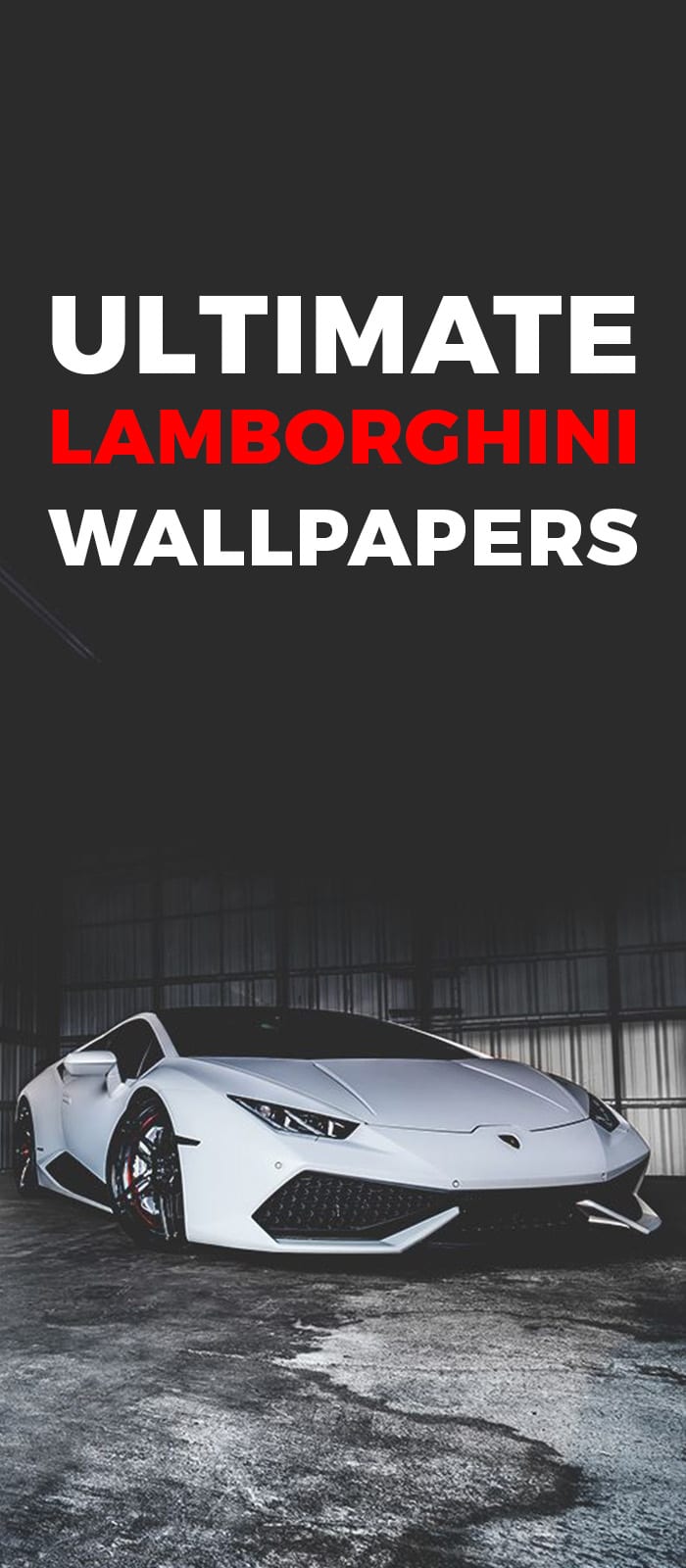 LAMBORGHINI! LAMBORGHINI!