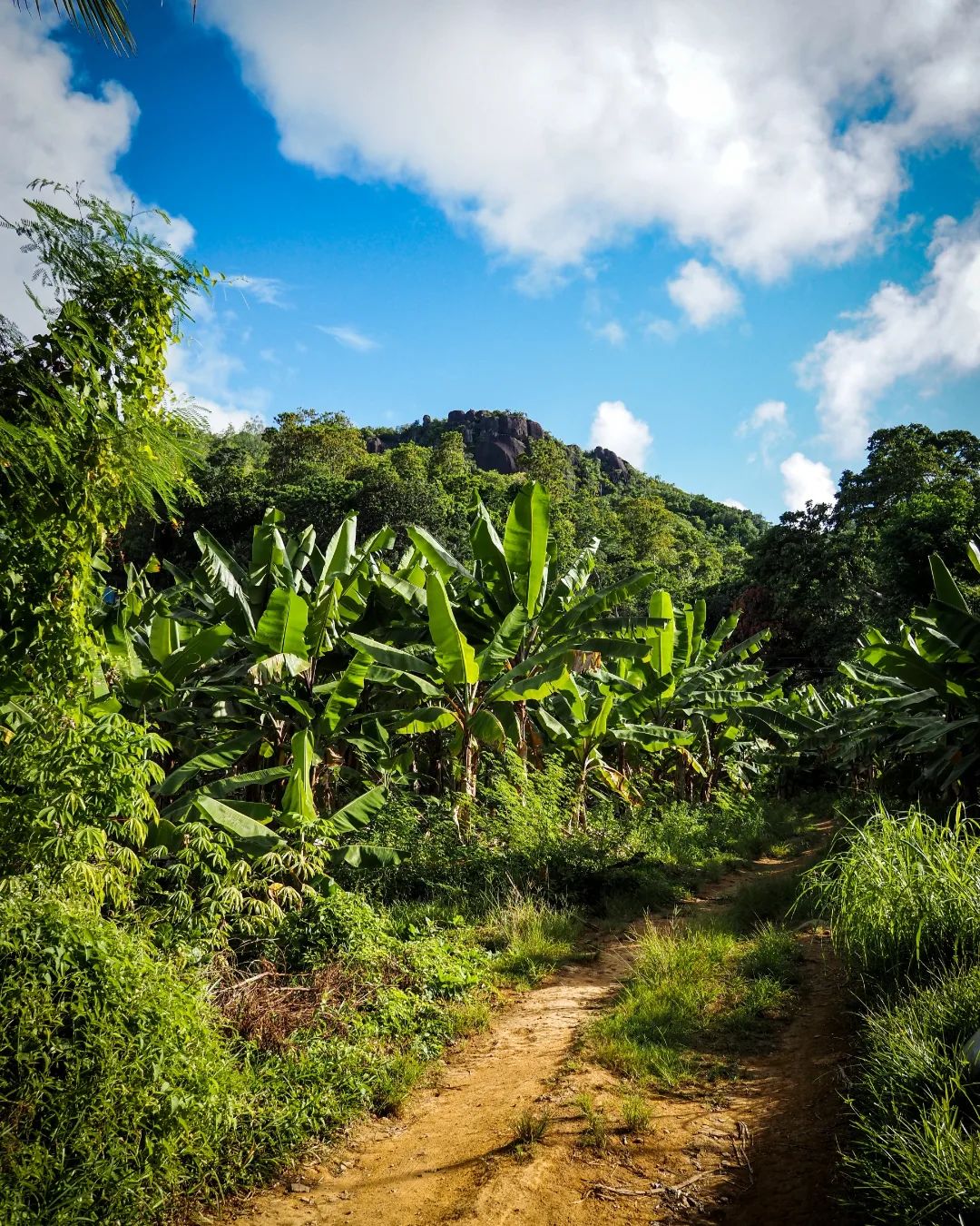 Get the most adventurous hiking experience at Seychelles Get the most adventurous hiking experience at Seychelles