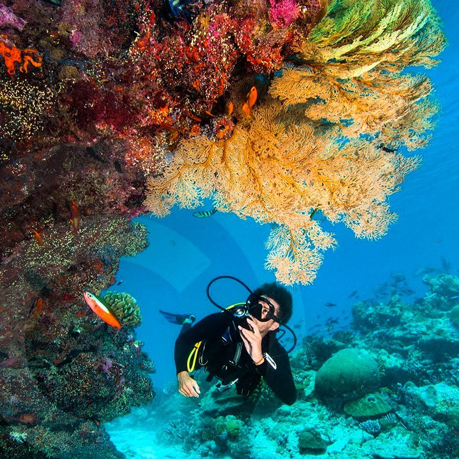The Best Scuba Diving expereince The Best Scuba Diving expereince