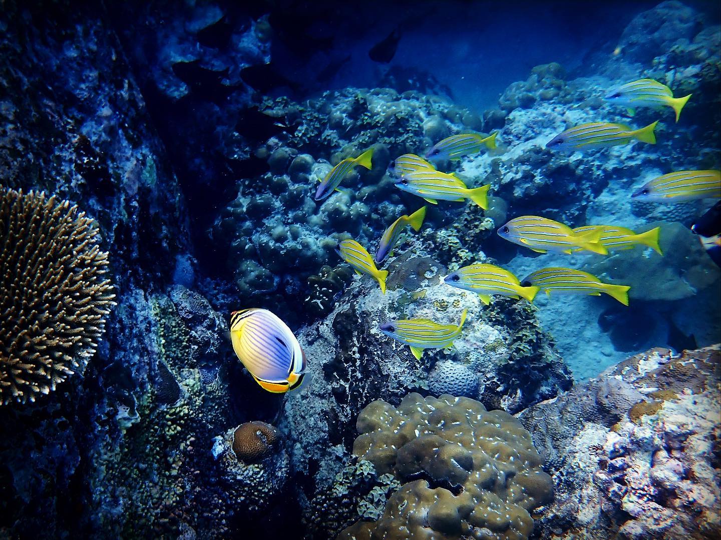 The Best Scuba Diving expereince