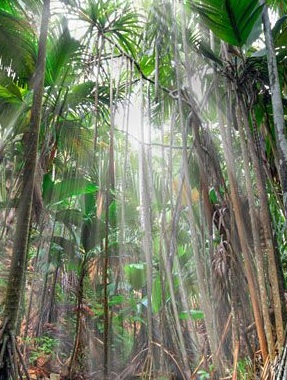 UNESCO world Heritage sites - Untouched By Humans UNESCO world Heritage sites - Untouched By Humans