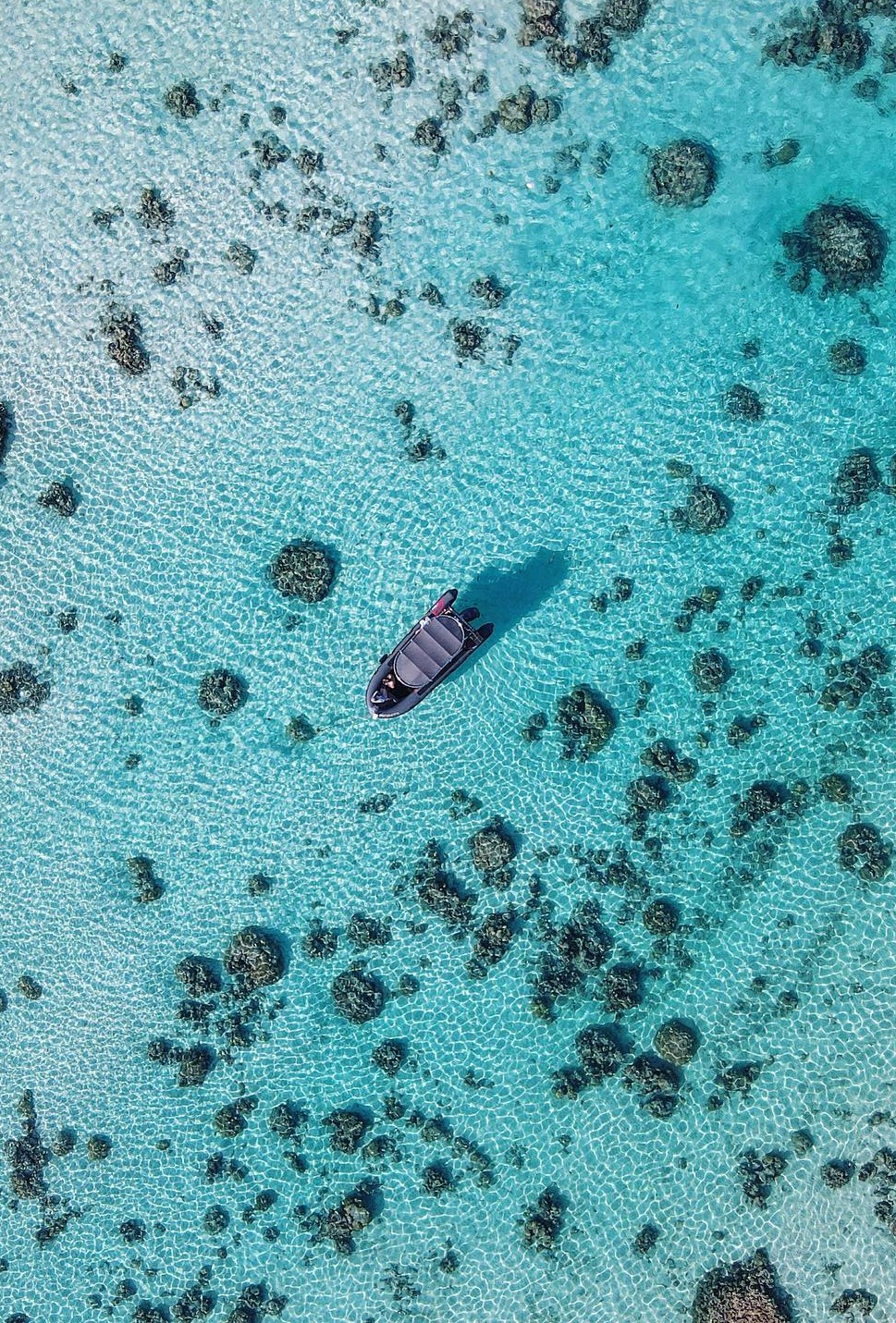 Moorea, French Polynesia. Moorea, French Polynesia.