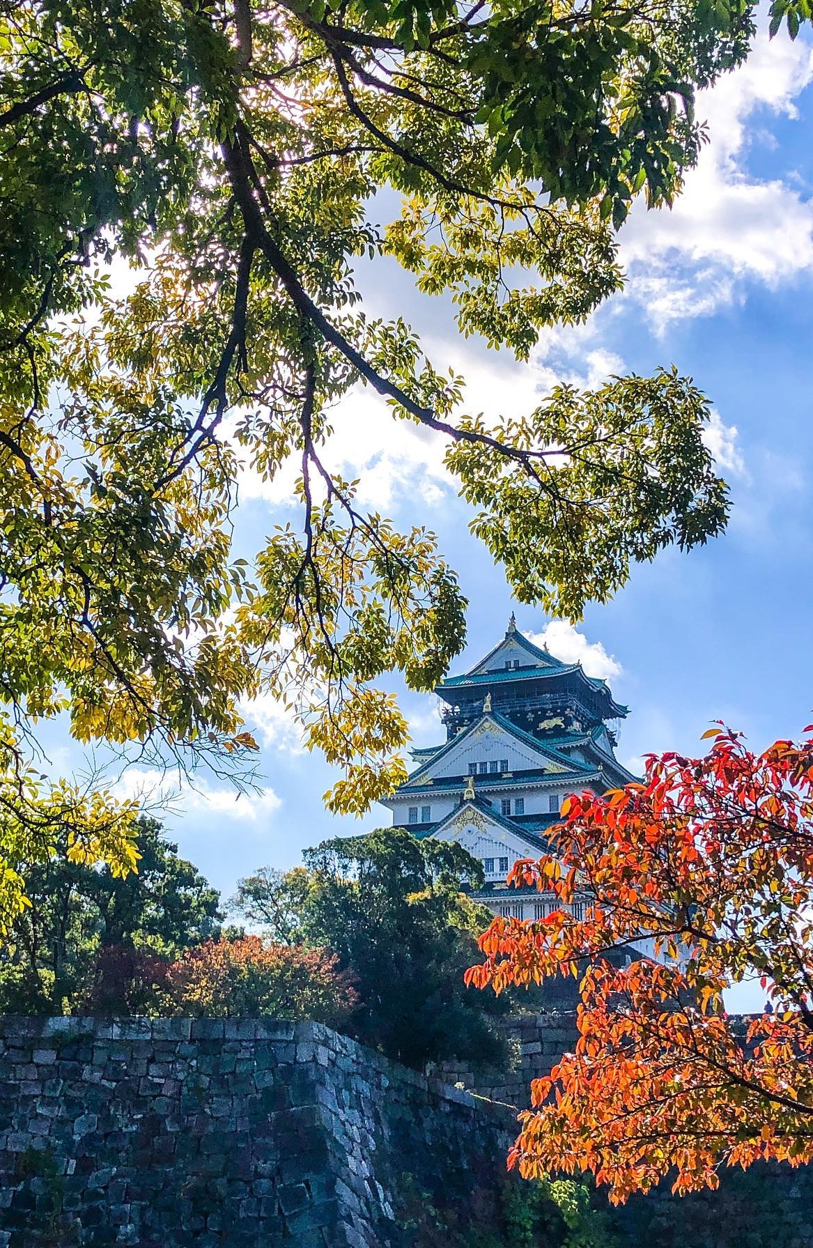 Osaka In Japan - A romantically beautiful Couple Destination Osaka In Japan - A romantically beautiful Couple Destination